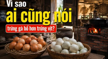 Vì sao ai cũng nói trứng gà bổ hơn trứng vịt?