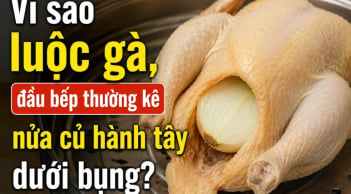 Vì sao luộc gà đầu bếp thường kê nửa củ hành tây dưới bụng?