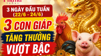 3 ngày đầu tuần (22/6-24/6), 3 con giáp tăng thưởng vượt bậc