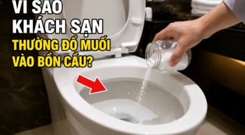 Vì sao khách sạn thường đổ muối vào bồn cầu?