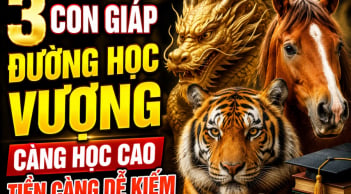 3 con giáp đường Học vượng, càng học cao Tiền càng dễ kiếm