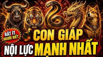 4 con giáp nhìn Liễu Yếu Đào Tơ nhưng nội lực cực mạnh