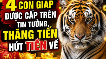 4 con giáp được cấp trên tin tưởng, thăng tiến hút Tiền về