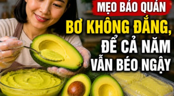 Mẹo bảo quản bơ không đắng, để cả năm vẫn béo ngậy