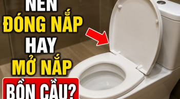Nên đóng nắp hay mở nắp bồn cầu?