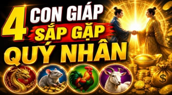 4 con giáp được thời phất lên, số hên sau tuổi 40
