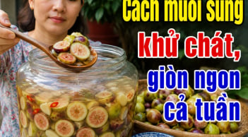 Cách muối sung khử chát, giòn ngon cả tuần