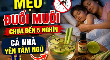 Mẹo đuổi muỗi chưa đến 5 nghìn, cả nhà yên tâm ngủ