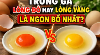 Trứng gà lòng đỏ hay lòng vàng là ngon bổ nhất?
