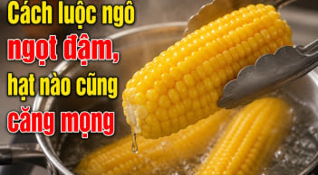 Cách luộc ngô ngọt đậm, hạt nào cũng căng mọng