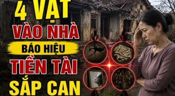 4 vật vào nhà báo hiệu Tiền Tài sắp cạn