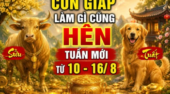 Tuần mới (10-16/8), 4 con giáp làm gì cũng Hên kiếm tiền phơi phới