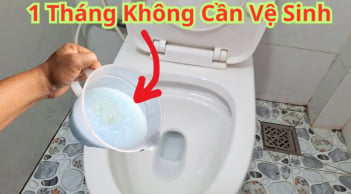 Nhà tắm cứ để 1 thứ: Hết hôi, không sợ vi khuẩn