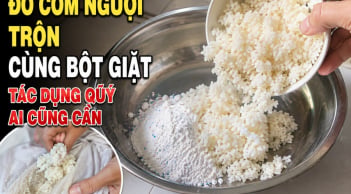 Đổ cơm nguội trộn cùng bột giặt, tác dụng quý ai cũng cần