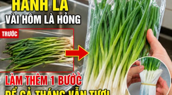 Hành lá vài hôm là hỏng, làm thêm 1 bước để cả tháng vẫn tươi