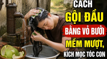 Cách gội đầu bằng vỏ bưởi mềm mượt, kích mọc tóc con