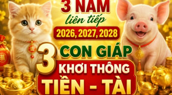 3 năm liên tiếp 2026, 2027, 2028: 3 con giáp khơi thông Tiền - Tài