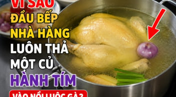Vì sao đầu bếp nhà hàng luôn thả một củ hành tím vào nồi luộc gà?