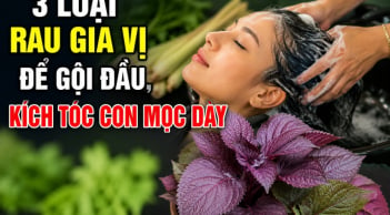 3 loại rau gia vị để gội đầu, kích tóc con mọc dày