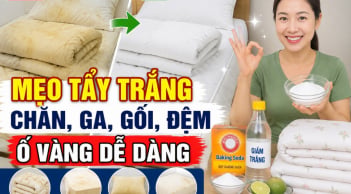 Mẹo tẩy trắng chăn, ga, gối, đệm ố vàng dễ dàng
