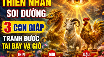 Thiên Nhãn soi đường, 3 con giáp tránh được tai bay vạ gió