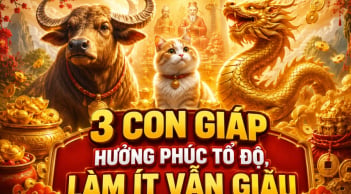 3 con giáp hưởng phúc Tổ độ, làm ít vẫn giàu