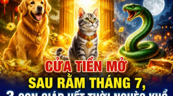 Cửa Tiền mở sau Rằm tháng 7, 3 con giáp hết thời nghèo khổ