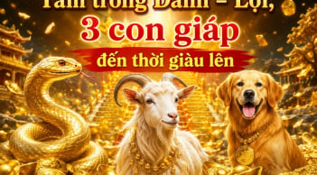 Tắm trong Danh - Lợi, 3 con giáp đến thời giàu lên
