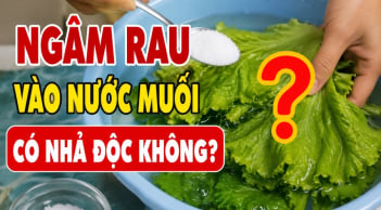 Ngâm rau vào nước muối có nhả độc không?