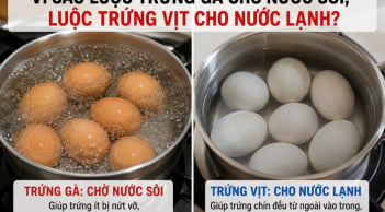 Vì sao luộc trứng gà chờ nước sôi, luộc trứng vịt cho nước lạnh?