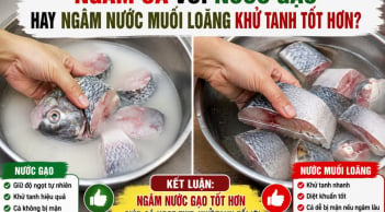 Ngâm cá với nước gạo hay ngâm nước muối loãng khử tanh tốt hơn?