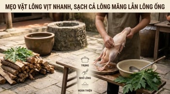 Mẹo vặt lông vịt nhanh, sạch cả lông măng lẫn lông ống