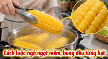 Cách luộc ngô ngọt mềm, bung đều từng hạt