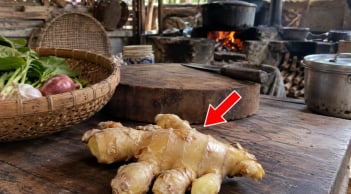 Cách bảo quản gừng để cả tháng vẫn không héo quắt