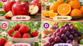 Chọn 1 loại quả mà bạn thích nhất