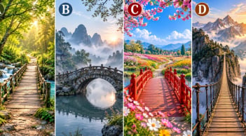 Chọn 1 cây cầu bạn muốn đi qua nhất