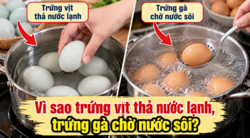 Tại sao luộc trứng vịt thả nước lạnh, luộc trứng gà phải chờ nước sôi?