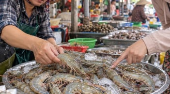 Mua tôm chọn con cong hay thẳng là ngon nhất?