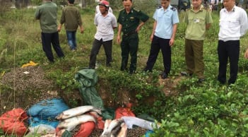 Bắt gần 3 tấn cá trắm, rô phi nhập lậu từ Trung Quốc