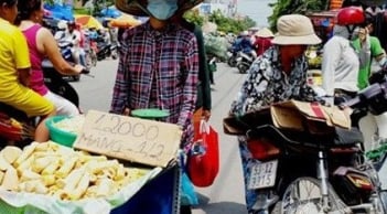 Phát hiện chất vàng ô trong măng ở TP Hồ Chí Minh
