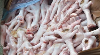 Bắt hơn 3 tấn chân gà không rõ nguồn gốc