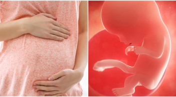 Liệu bà bầu đã biết những 'nỗi sợ' của con khi còn nằm trong bụng mẹ?