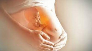 Mẹ có 5 đặc điểm này sẽ sinh ra những em bé cực kì thông minh, IQ cao, lanh lợi hơn người