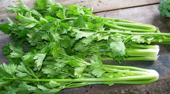 Loại rau là “khắc tinh” của ung thư nhưng nhà nào cũng bỏ đi, nấu kiểu này vừa ngon vừa bổ