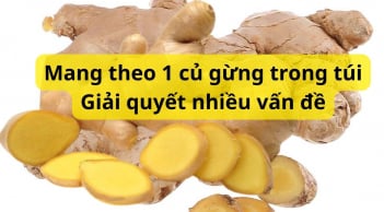 Những bài thuốc đơn giản từ gừng trị những bệnh thường gặp, không biết thật phí