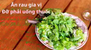 Những loại rau gia vị phổ biến vừa tăng hương vị bữa ăn vừa tăng đề kháng, giúp phòng bệnh, nhớ mua hàng ngày