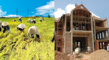 Trường hợp nào xây nhà trên đất nông nghiệp bị phạt lên tới 500 triệu đồng?