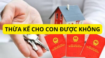 Đất chưa được cấp sổ đỏ có được di chúc lại cho con hay không? Cập nhật quy định mới kẻo thiệt thòi