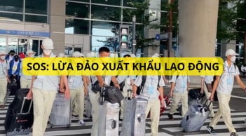 Cảnh báo khẩn cấp từ Bộ LĐTBXH: Người muốn đi xuất khẩu lao động đọc ngay thông tin này kẻo mất tiền oan