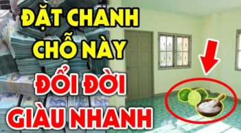 Cắt tư quả chanh cho vào đĩa muối rồi đặt gầm giường: Cả nhà đổi, 3 đời vận giàu sang